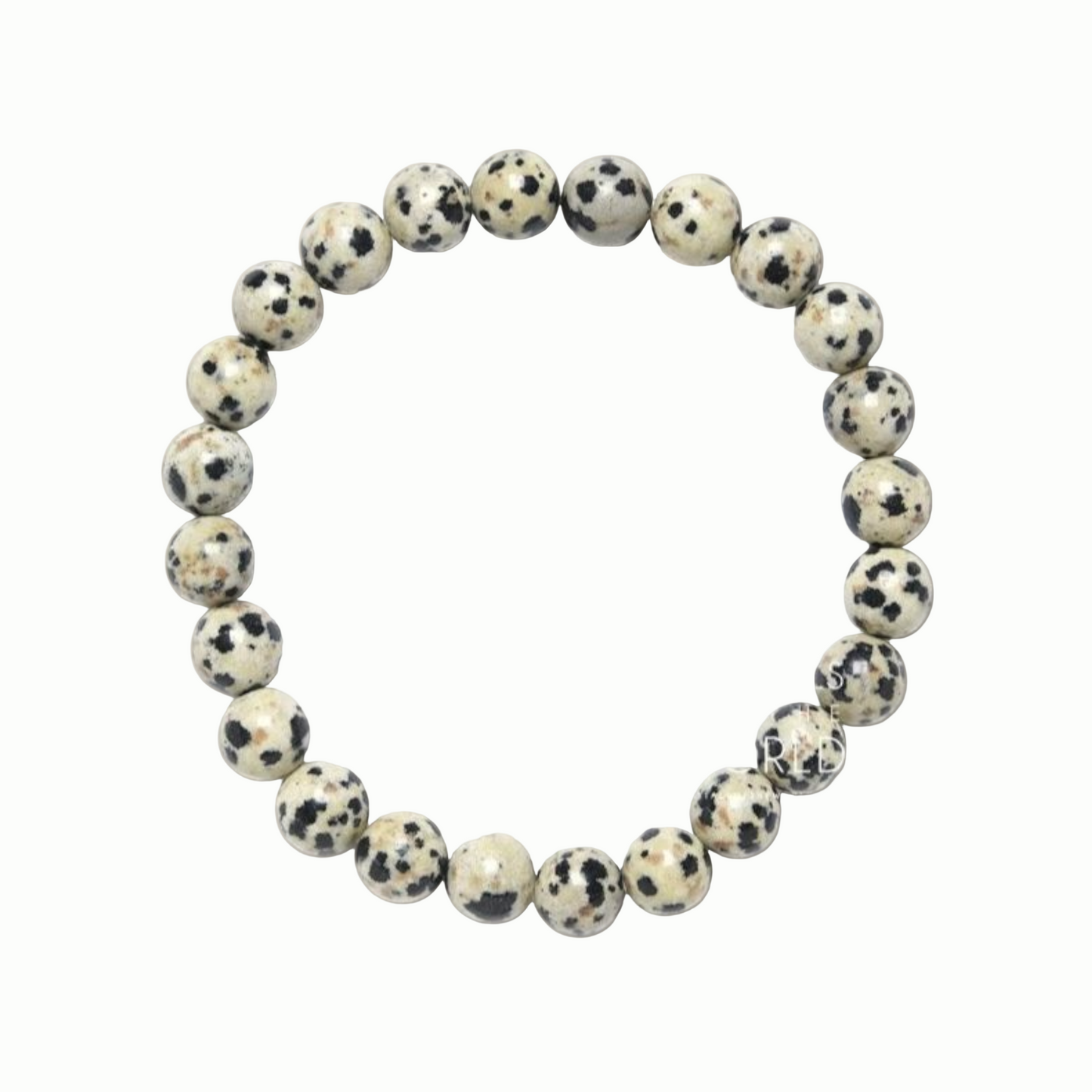 Dalmatian Jasper – Joy & Protection