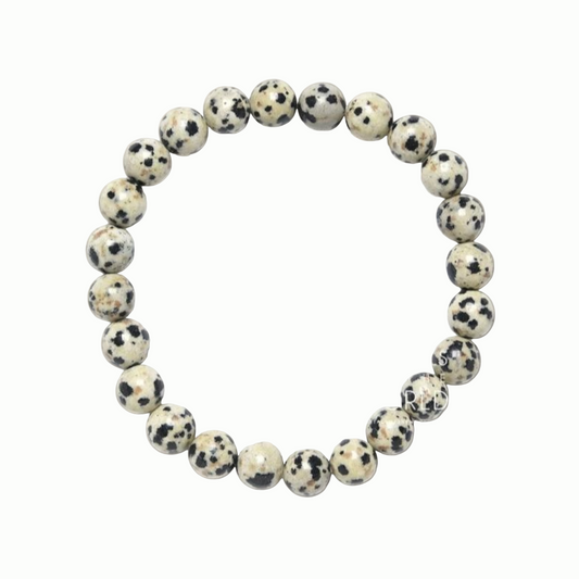 Dalmatian Jasper – Joy & Protection